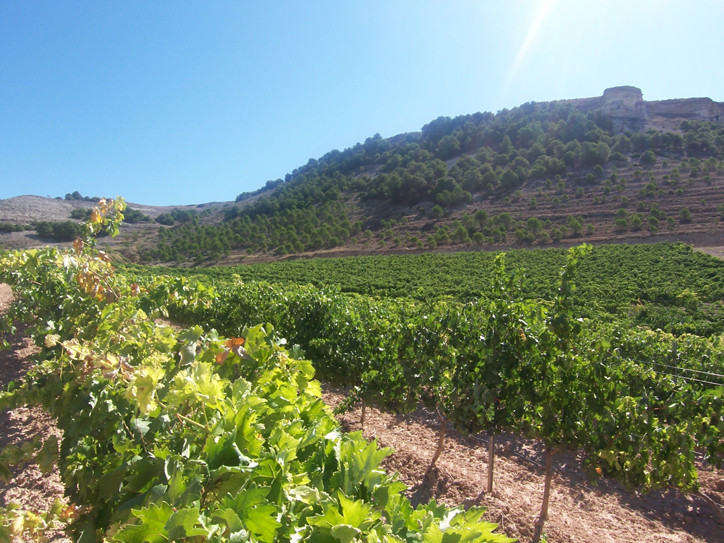 101_4330.jpg BODEGAS ALTOGRANDE