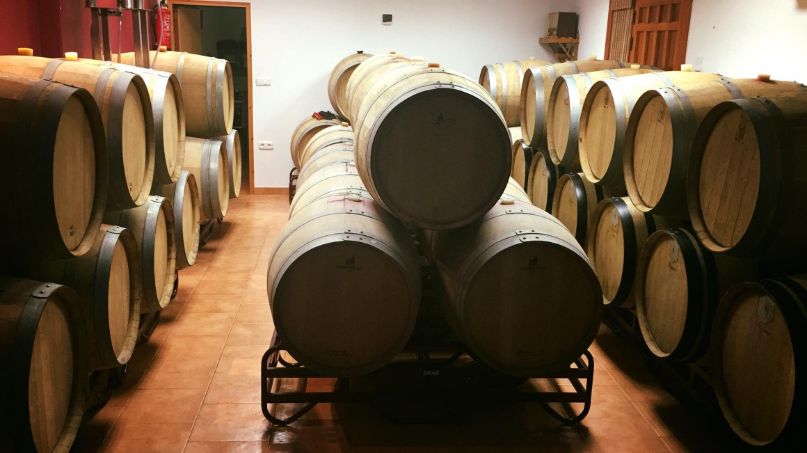Bodegas FRANCISCO JAVIER FLORES HERNANDEZ