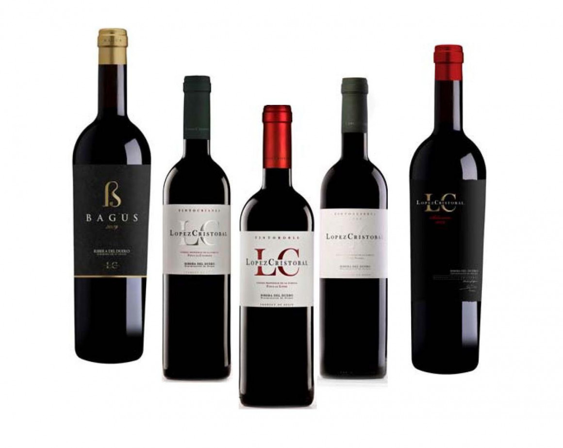 alimentaria_e_botellas.jpg BODEGAS LÓPEZ CRISTÓBAL