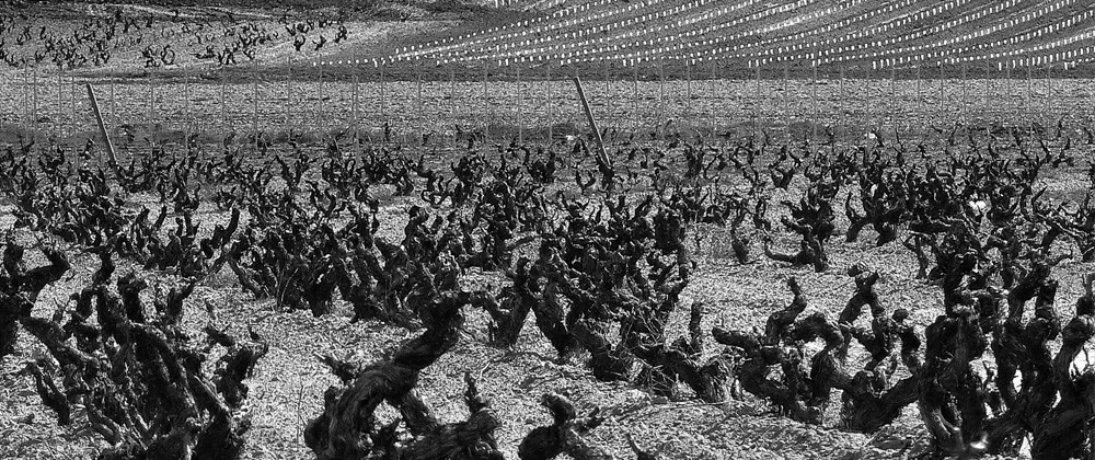 Bodegas DOMINIO DE CAIR