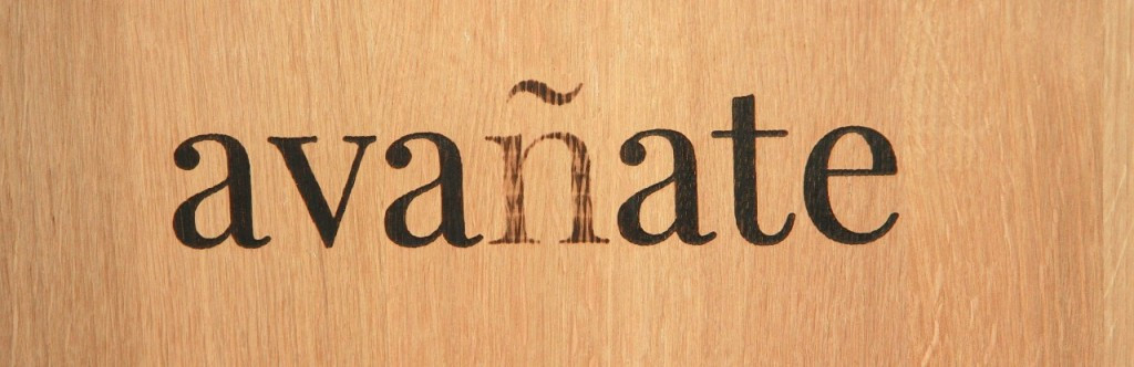 cropped-img_0604-1024x332.jpg BODEGAS VINUM VITAE