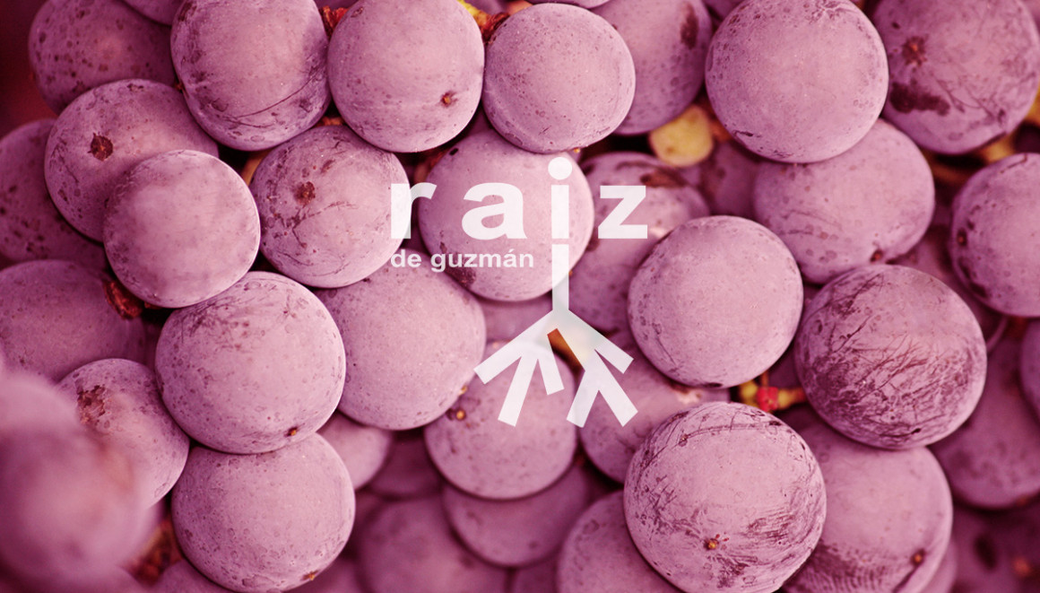 BODEGAS RAIZ Y QUESOS PARAMO DE GUZMAN