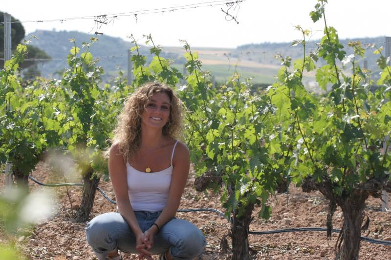 img_1260_0.jpg Bodegas VEGACLARA