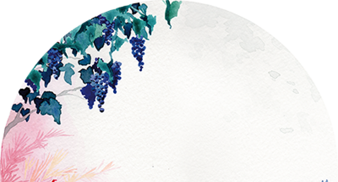 luna_alilian400.png BODEGAS Y VIÑEDOS ALILIAN