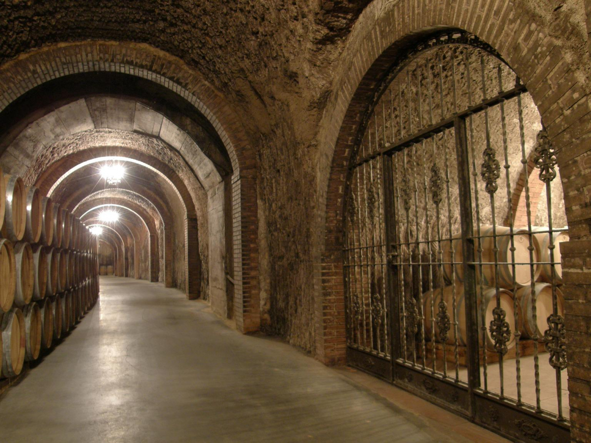nave_bodega_subterranea.jpg BODEGAS ISMAEL ARROYO