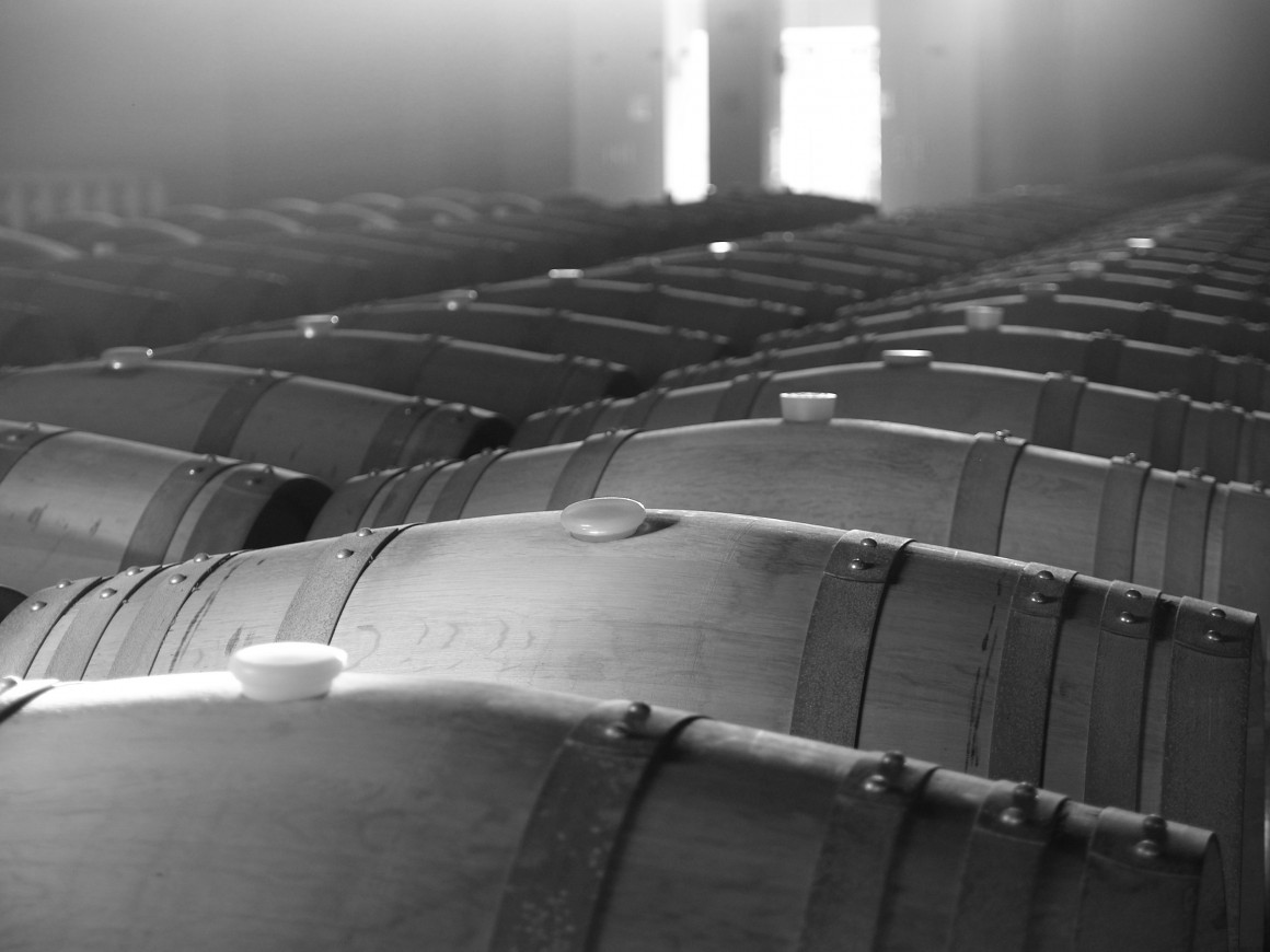 Sala de barricas Bodega Pinna fidelis