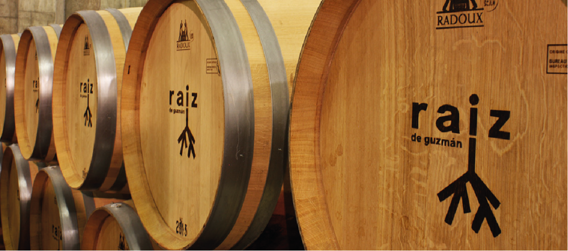 BODEGAS RAIZ Y QUESOS PARAMO DE GUZMAN