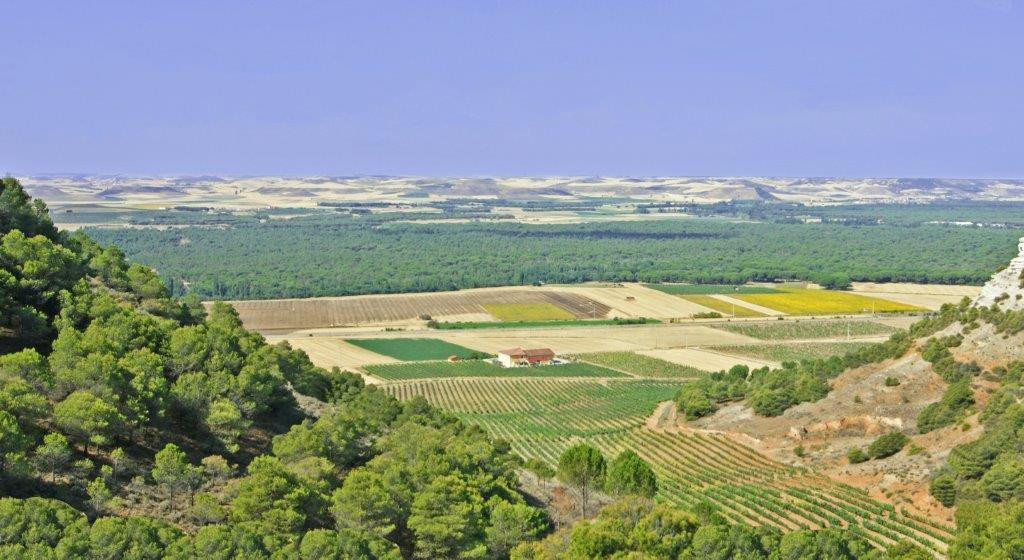 vista_altogrande_2_0.jpg BODEGAS ALTOGRANDE