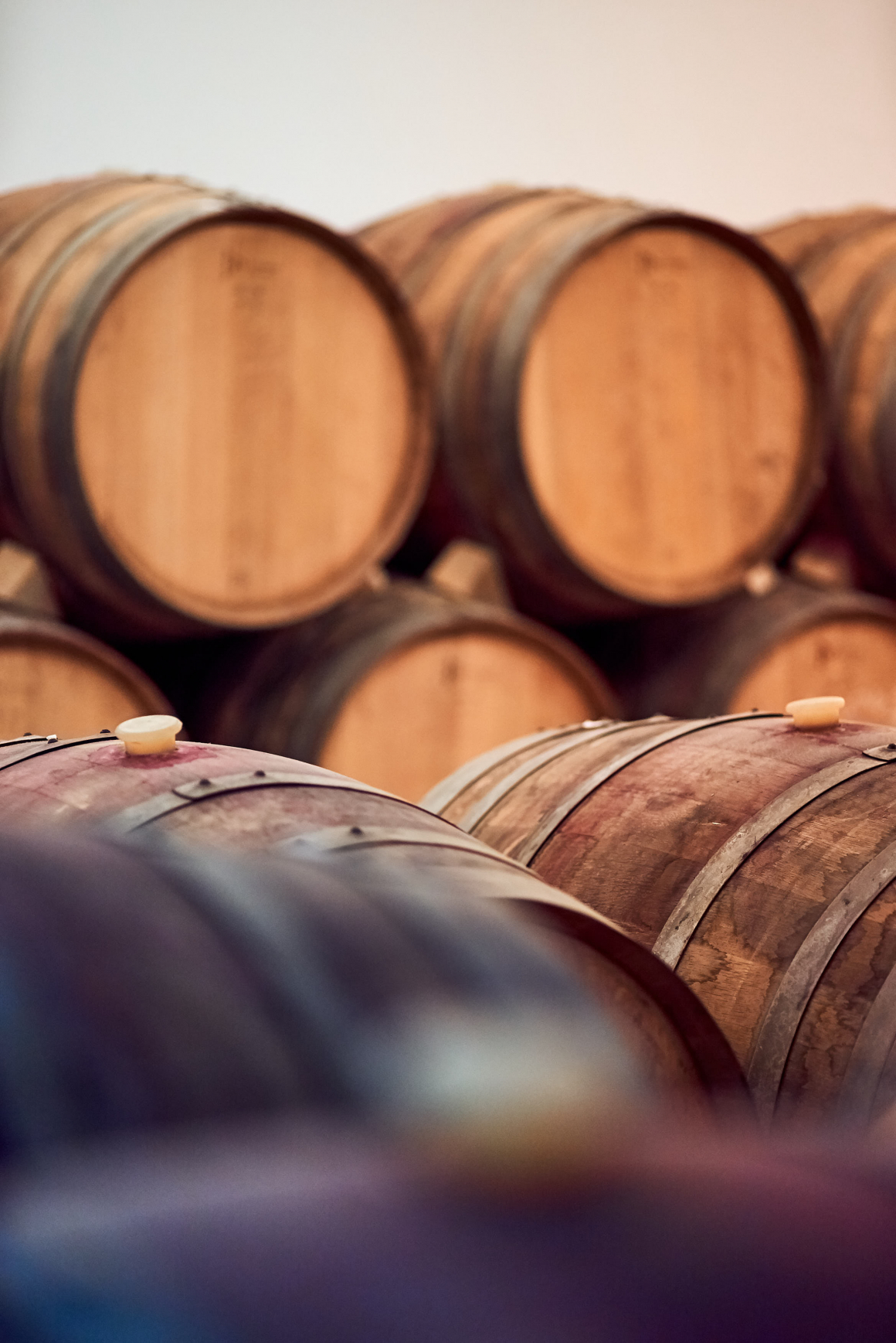 CA18-VILE-SEÑORIO DE NAVA-27ABR-_DSC3774.jpg