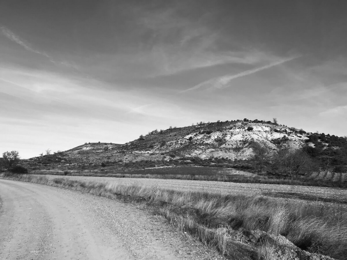 IMG_5228_1.jpg Campo