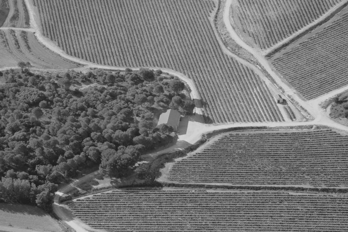 Nave Finca San C obate-SURAVIA,S.A (3).jpg