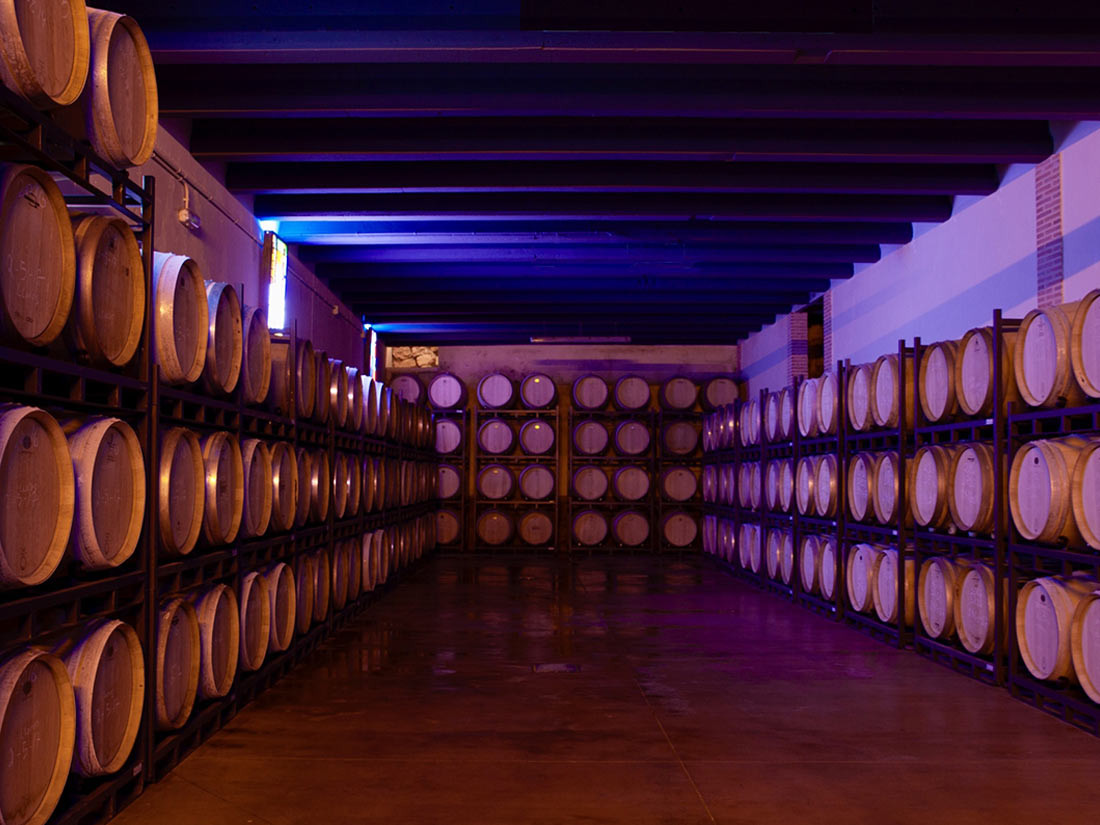 bodega-barricas-luces-recortada.jpg