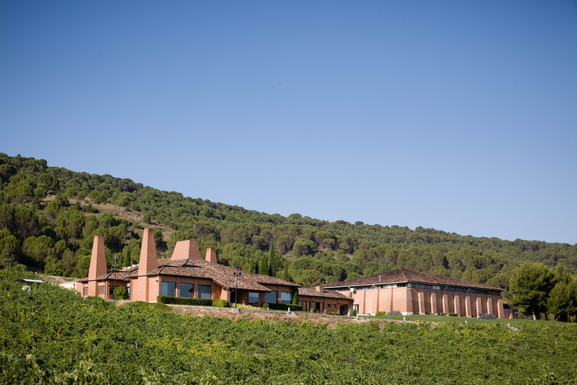 BODEGAS VINA MAYOR (1)_0.jpg Bodegas Viña Mayor, Bodega Pionera D.O. Ribera del Duero