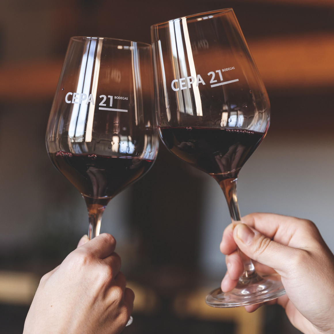 UN BRINDIS EN EL CORAZÓN DE LA RIBERA DEL DUERO