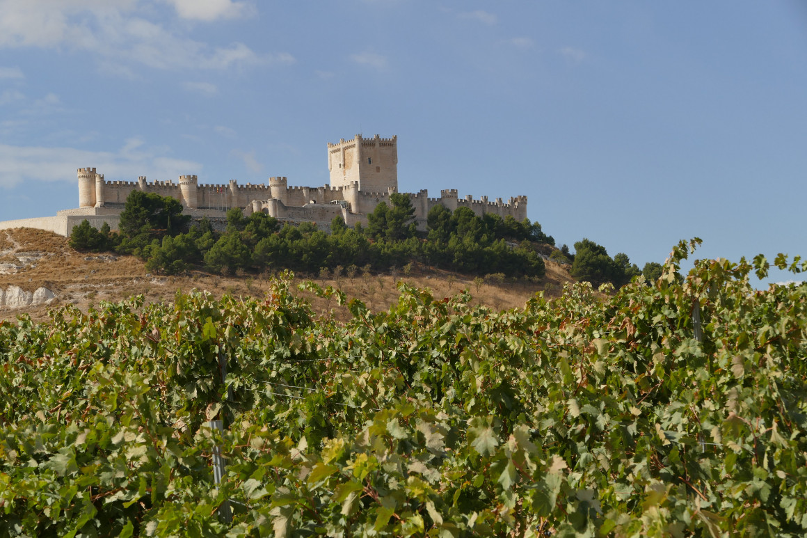Castillo de Peñafiel