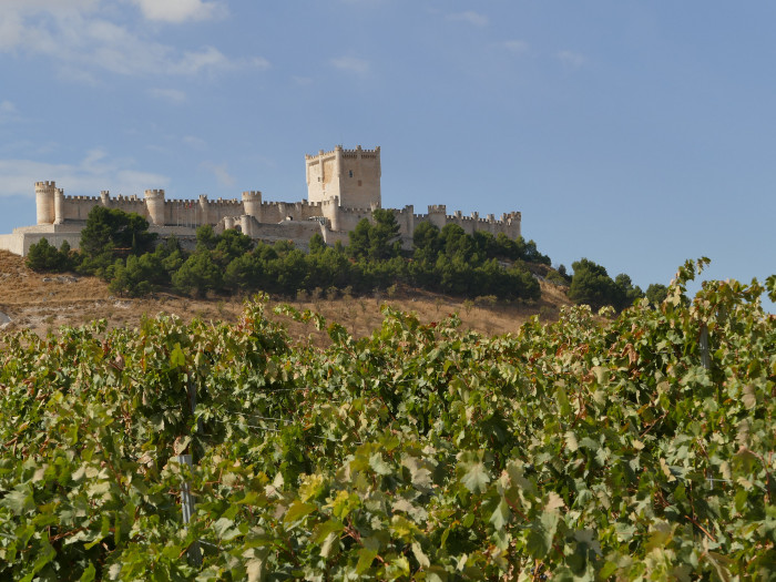 Castillo de Peñafiel