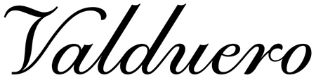 Logo Valduero