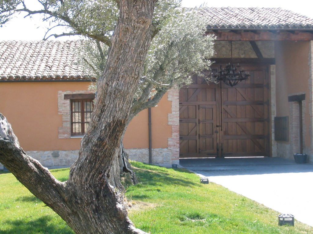 BODEGA CONVENTO SAN FRANCISCO