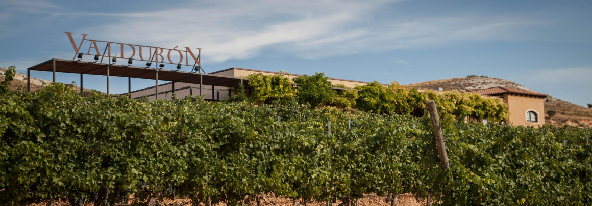 BODEGAS VALDUBÓN