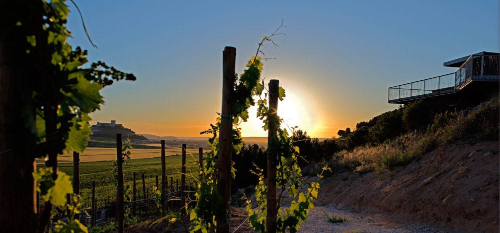 Bodegas PAGO DE CARRAOVEJAS