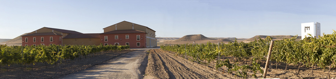 BODEGAS RESALTE DE PEÑAFIEL