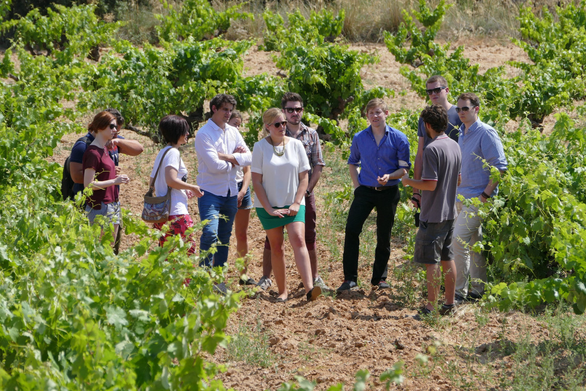 LA DO RIBERA DEL DUERO