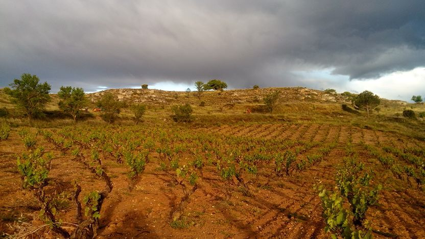 Cerro el Cuberillo - Peñalba de San Esteban