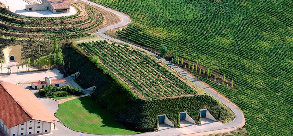 Foto aérea Bodega Valduero