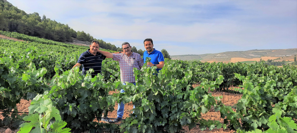 Socios Bodegas el Inicio Ribera del Duero viñedo amistad y buen vino