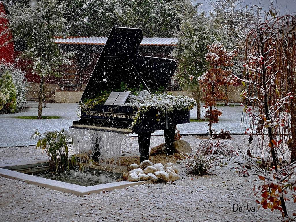 Jardines en invierno