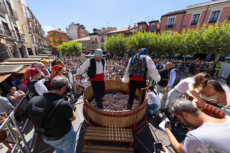 Fiesta de la Vendimia