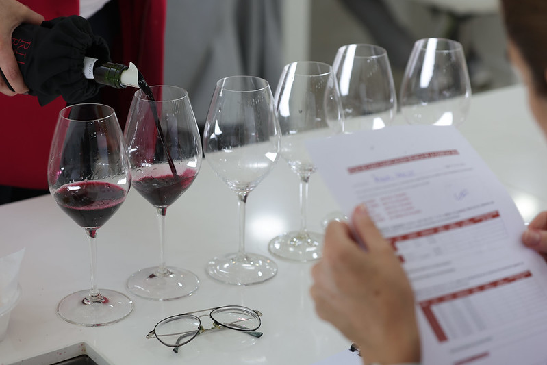 Calificación de la añada 2023