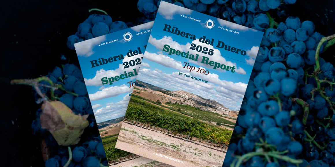 Top 100 vinos por Tim Atkin