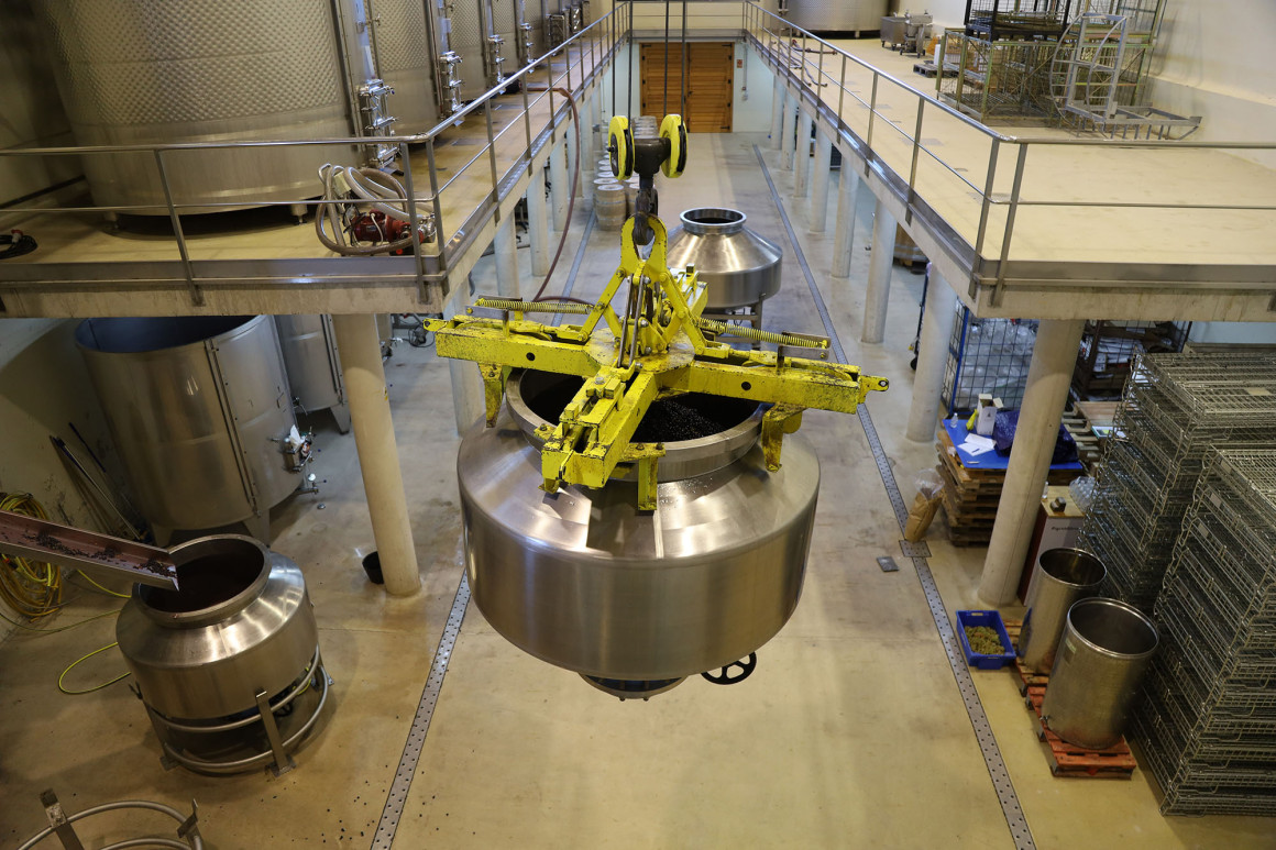 Bodega Bardos OVI.jpg