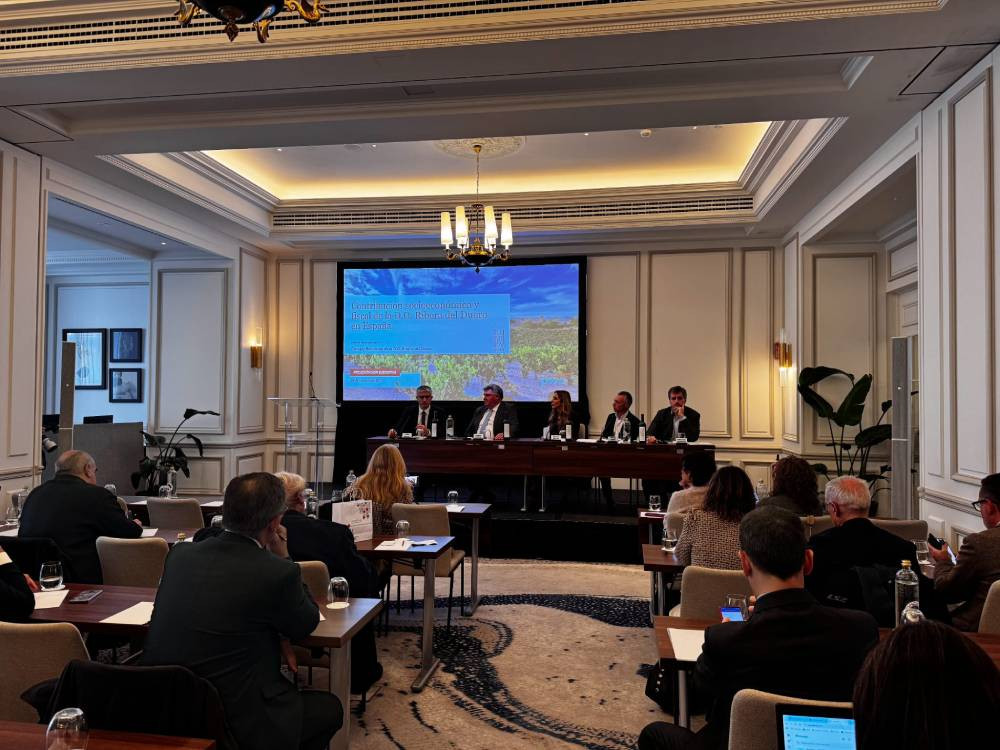 Enoturismo Ribera del Duero