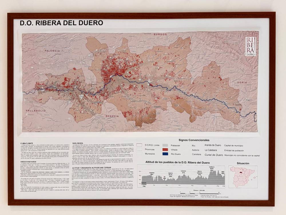 Mapa D.O. Ribera del Duero
