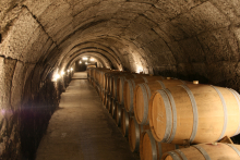 Bodega subterránea siglo XVI donde realizan la crianza los vinos ValSotillo