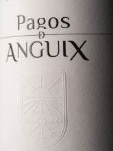 ETIQUETA PAGOS DE ANGUIX