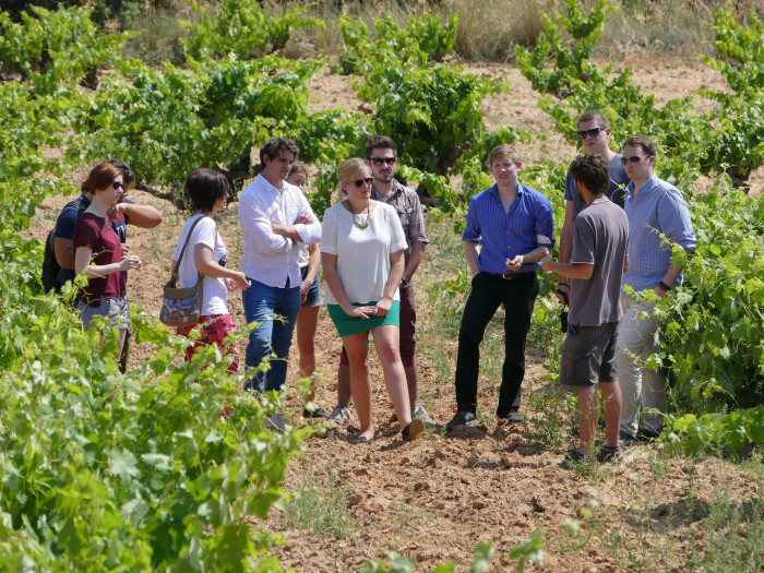 LA DO RIBERA DEL DUERO