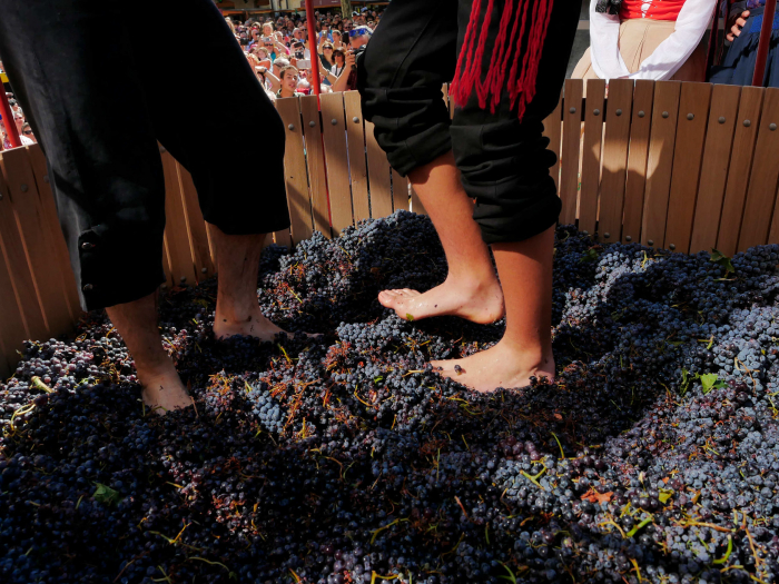 Más de 15.000 personas disfrutaron de la III Gran Fiesta de la Vendimia de Ribera del Duero