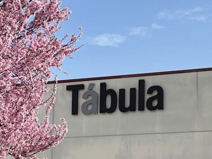 Fachada de Bodegas Tábula detrás de la corona de un pruno en primavera.