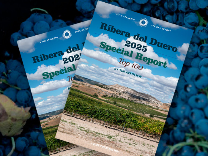 Top 100 vinos por Tim Atkin