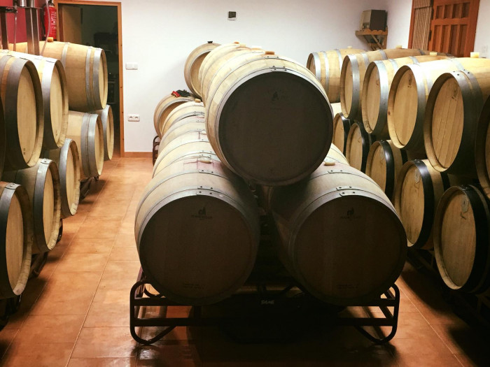  Bodegas FRANCISCO JAVIER FLORES HERNANDEZ