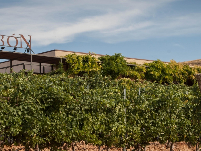 BODEGAS VALDUBÓN