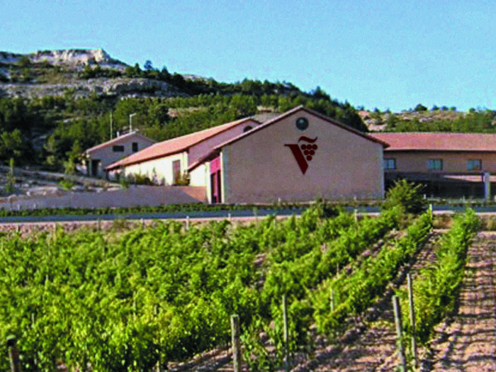 BODEGAS VALDEVIÑAS