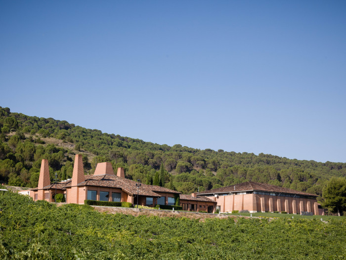 Bodegas Viña Mayor, Bodega Pionera D.O. Ribera del Duero